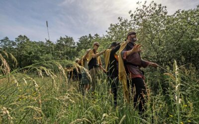 Bikubenfonden: Ansøgningsrunde for scenekunst og billedkunst