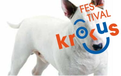 Tag med ud i verden med ASSITEJ!