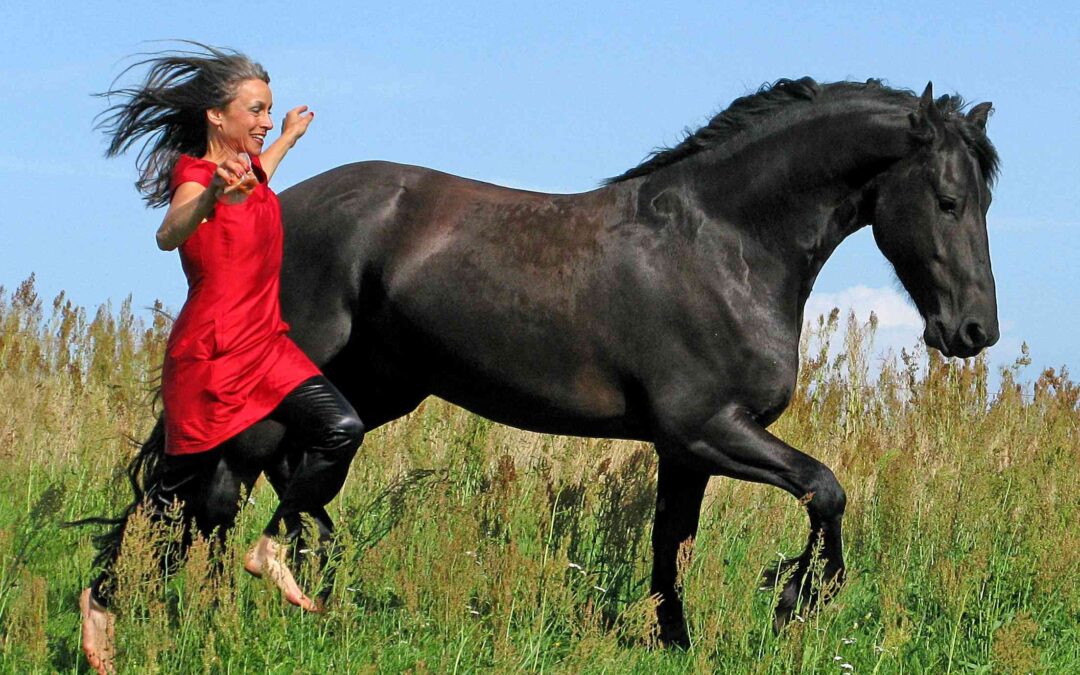 Sikke et cirkus