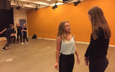 KulturCrew til læringsfestival