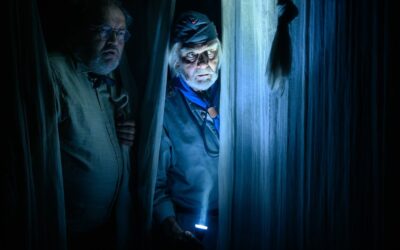 Skønt, vigtigt og sjældent teater