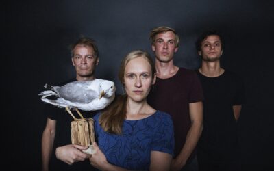 Mågeskræp og menneskemøder